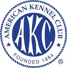 American Kennel Club